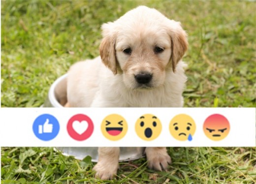 Reactions to the facebook Reactions [Study]