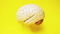 A Simple Brain Hack That Boosts Workplace Engagement