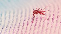MIT Just Developed A Super-Cheap Paper Zika Test