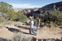 Reddit users helped bust a national park graffiti artist