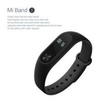 Xiaomi Mi Band 2: Price and Features, Sale Starts on June 7th