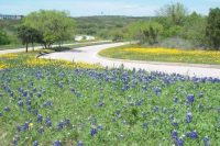 Tour of Texas: Querium, Spredfast, Valify, TMCx, SWRI, StemBioSys