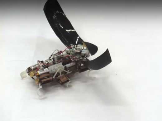 Robot Roach Can Jump Up To Five Feet High