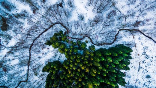 The Year’s Most Beautiful Photos Taken By Drones