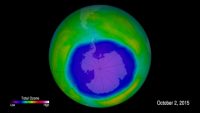 Earth’s ozone is on the path to recovery