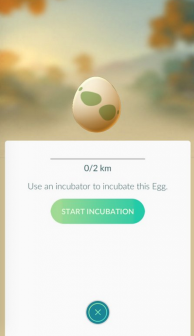 Pokemon GO Tips: How to Hatch the Collected Eggs?