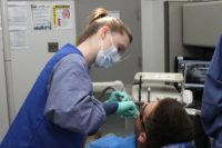 Regenerative tooth fillings could put an end to root canals