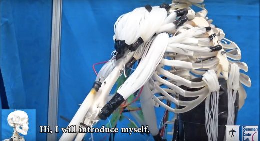 Researchers create skeleton robot with human-like muscles