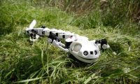 Salamander robot can walk, crawl and swim like the real deal