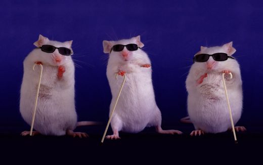Scientists partially restore blind mice’s eyesight