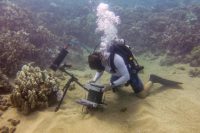 Underwater microscope offers a brand new look at sea life