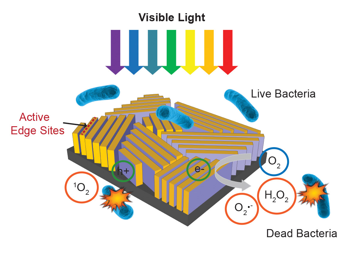 Postage stamp-sized device can disinfect water in minutes