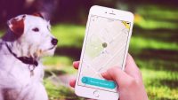 This “Uber For Dog Poop” App Is Definitely Fake–Sorry, Sharing Economy Enthusiasts