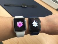 Apple Watch sales more than halved so far this summer