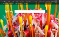 Bing Rewards Rebrands To Microsoft Rewards, Brings In Edge