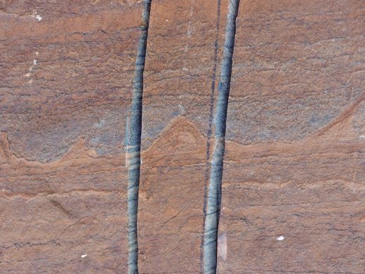 Geologists have discovered what could be the world’s oldest fossils