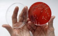 Artificial molecules fight drug-resistant ‘superbugs’