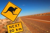 Hypercat standard becomes Australian IoT cat’s meow