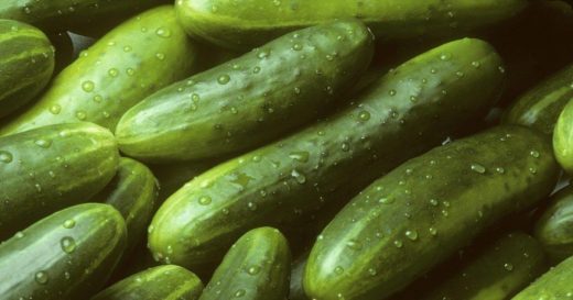 Of course machine learning can help you sort cucumbers