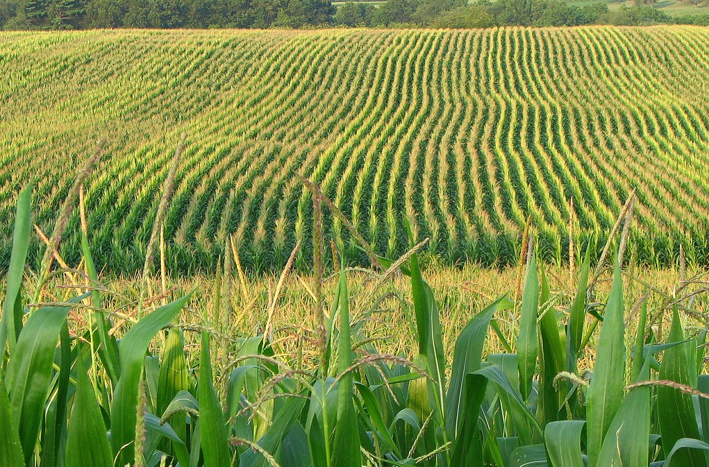 Midwestern BioAg Raises $21M to Ramp Up Fertilizer Production