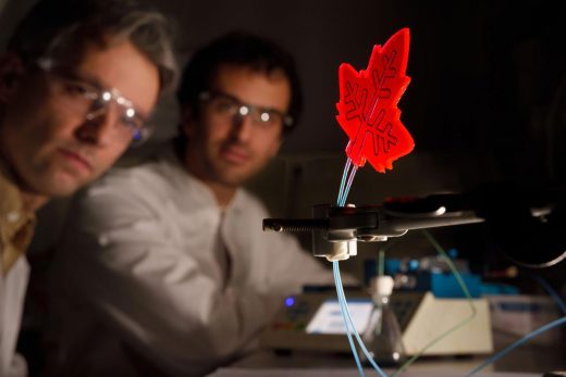 Dutch scientists’ artificial leaf can create medicine anywhere
