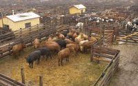 Agriculture Department lifts USDA gag order after public outcry