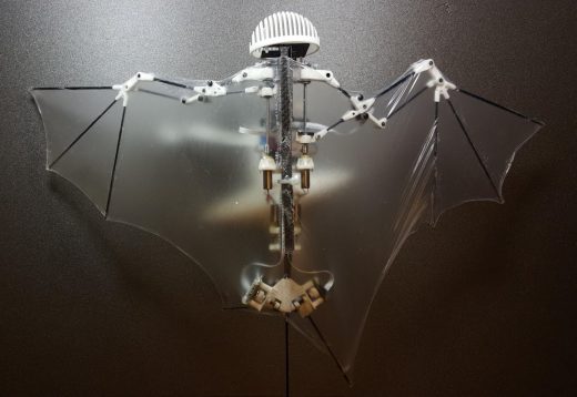Bat Bot is an autonomous drone that mimics a bat’s flight