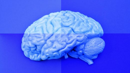 How Your Brain Makes You Hold Contradictory Beliefs