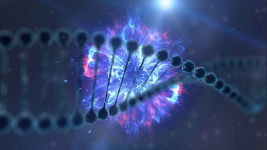 Hard drives of the future could be made of DNA