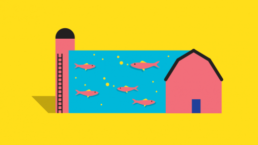 Replacing Farms With Fish Farms: The Odd Solution To Both Hunger And Climate Change