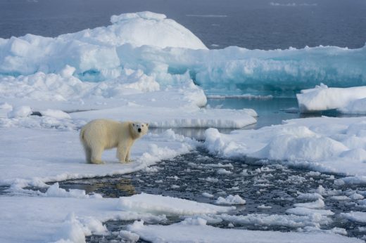 Rise in Arctic Ocean acid pinned on climate change