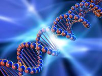 Scientists prove it’s possible to build a DNA computer