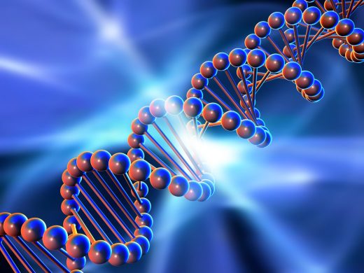 Scientists prove it’s possible to build a DNA computer