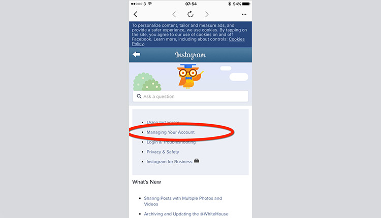 How To Delete An Instagram Account [Step-by-Step Guide] - Step 5 Instagram manage your account 