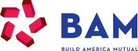 Build America Mutual Finds Ad Data Identifying Niche Audience