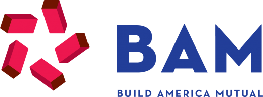 Build America Mutual Finds Ad Data Identifying Niche Audience