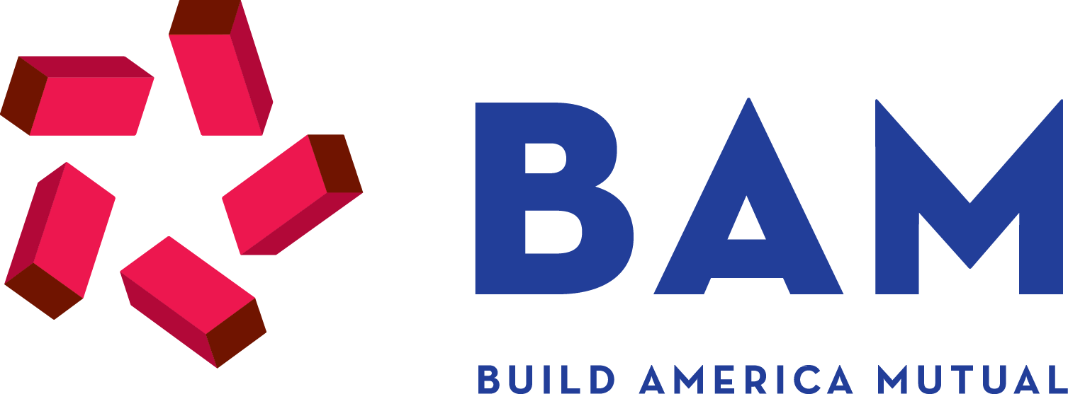 Build America Mutual Finds Ad Data Identifying Niche Audience