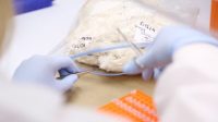 Did People Suffer For Your Cotton Shirt? DNA Tagging Lets You Track Its Origins