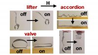 Scientists control soft robots with magnetic fields