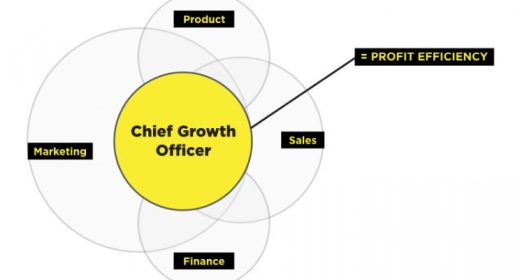 The Threat to the Traditional CMO – Will the Chief Growth Officer Replace the Chief Marketing Officer?