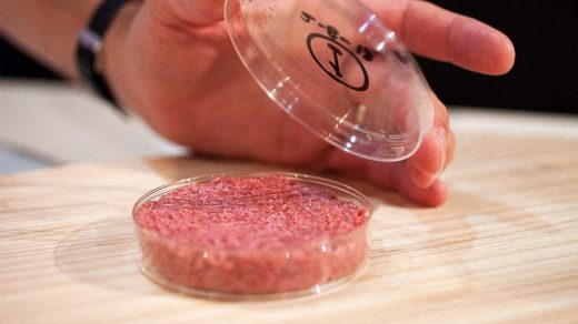 The Wondrous And Completely Terrifying Future Of Food