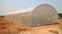 This Low-Cost Greenhouse Is Designed To Help The Poorest Farmers