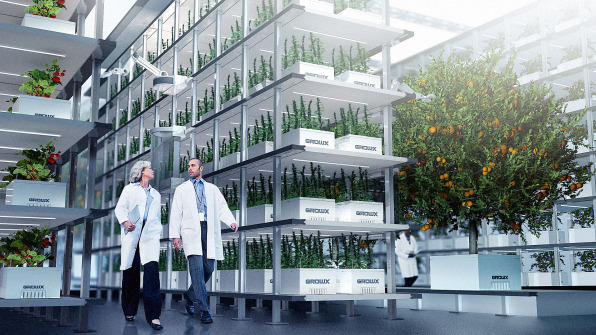 This Pot Company Is Cleaning Up The Weed Industry With Aeroponics | DeviceDaily.com