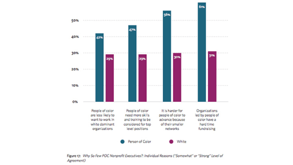 5 Charts That Illustrate The Racial Bias In The Nonprofit World | DeviceDaily.com