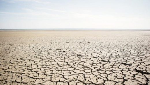 By Pulling Out Of The Paris Agreement, Trump Just Threw Away America’s Biggest Business Opportunity