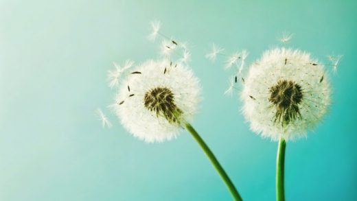 How To Stop Seasonal Allergies From Killing Your Productivity