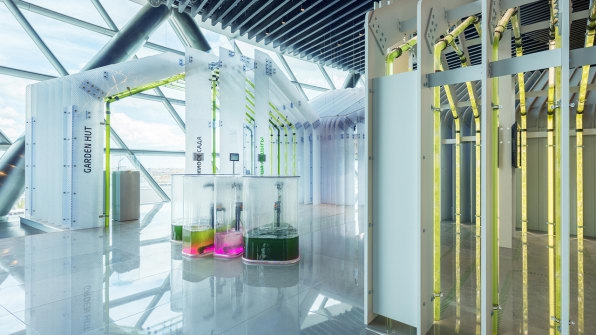 These Architects Want To Make Algae Farming Just Another Part Of Urban Infrastructure | DeviceDaily.com