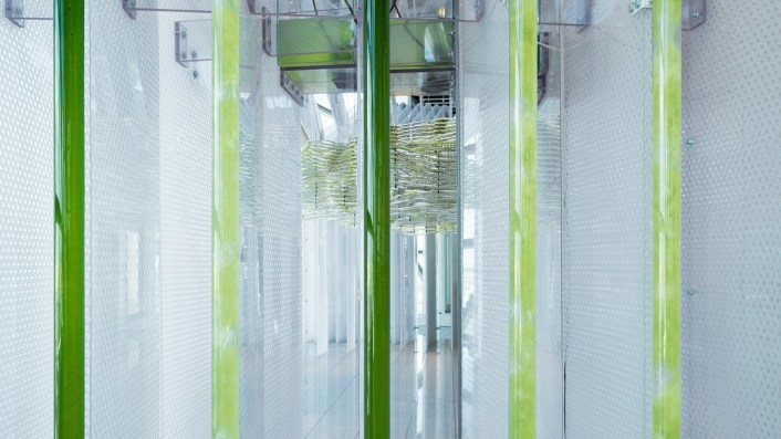 These Architects Want To Make Algae Farming Just Another Part Of Urban Infrastructure | DeviceDaily.com