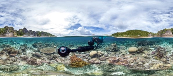 Stop Right Now And Watch “Chasing Coral” To Understand What We’ve Done To The Ocean | DeviceDaily.com