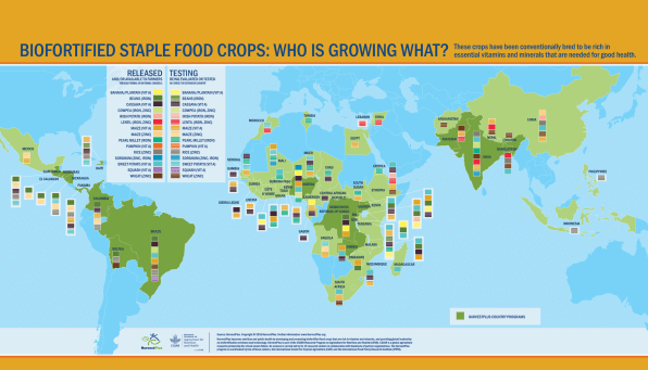 Could Biofortified Crops Be The Key To Solving Global Hunger? | DeviceDaily.com